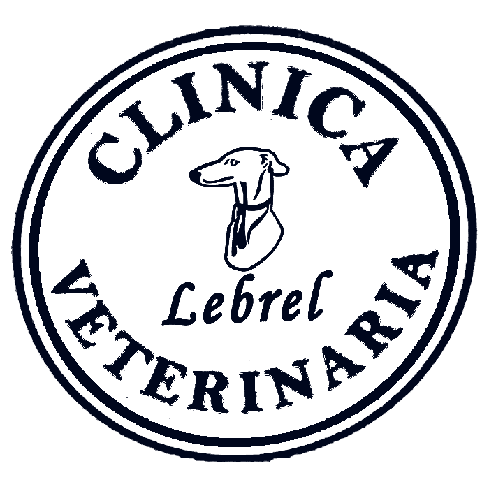 CLI-VET-LEBREL-LOGO-002